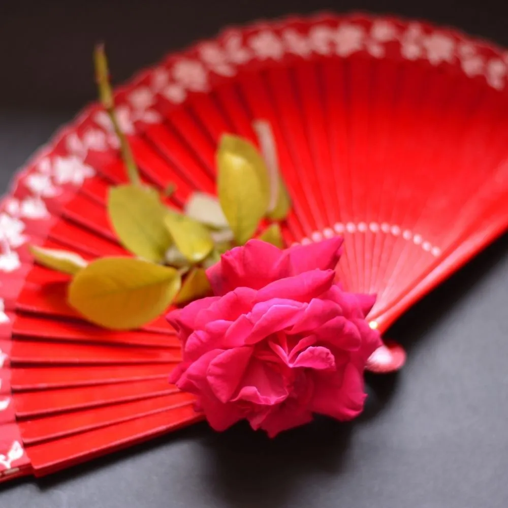 Flamenco fan and rose – Colorido Tours