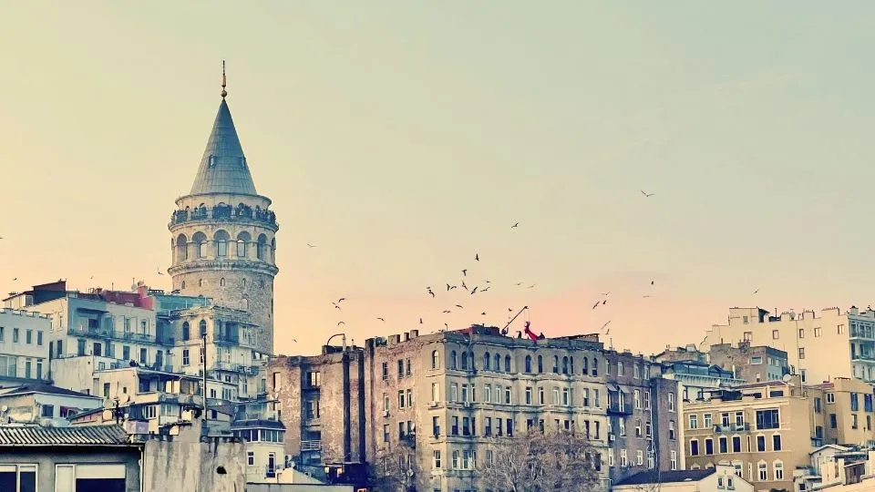 Galata Tower and seagulls – Colorido Tours