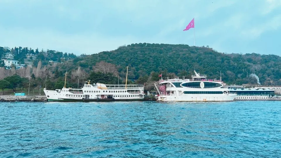 Two commuter steamers moored at a landing stage, with a wooded hill behind