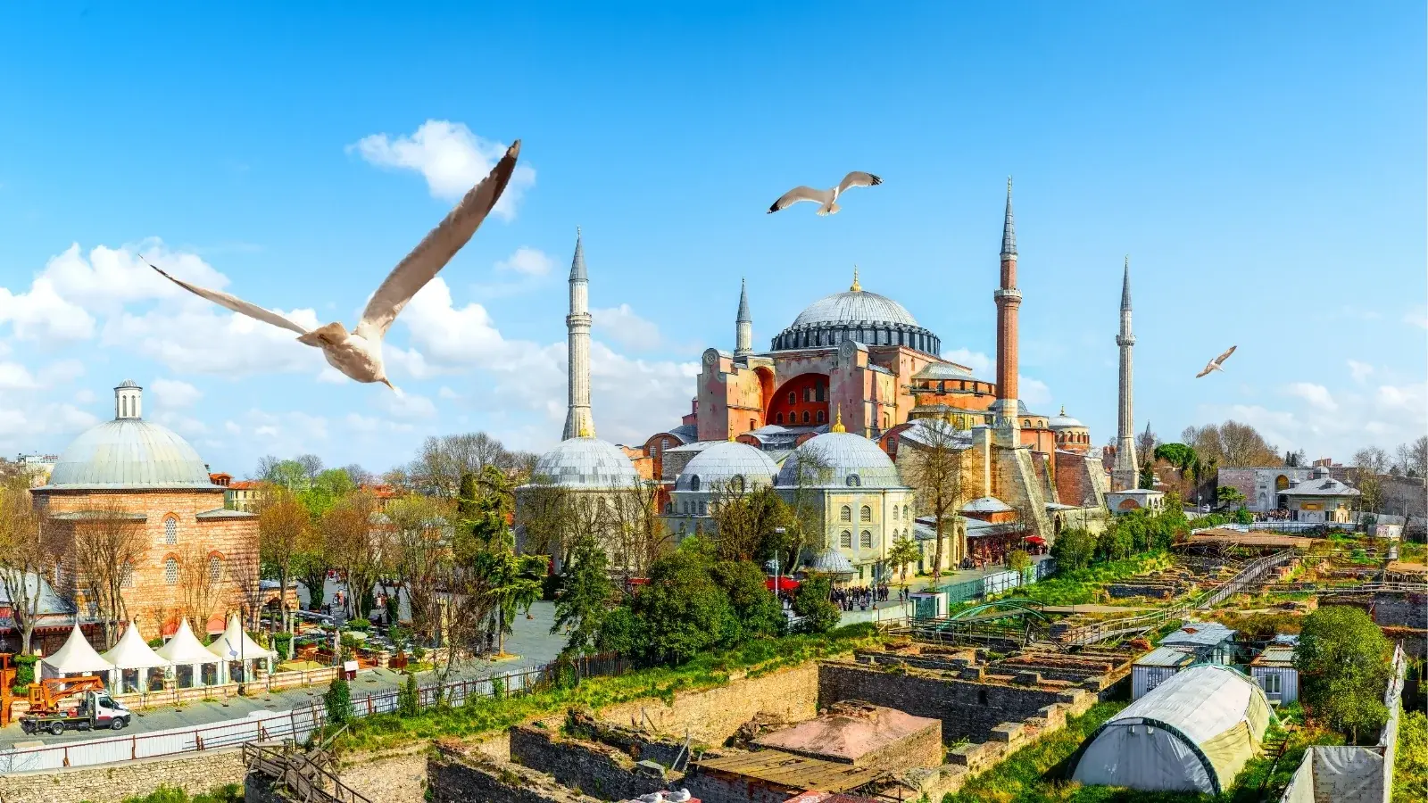 Hagia Sophia and the domes of Sultanahmet seen from the park, with Bosphorus gulls overhead: where the circuit begins, before the flight to Cappadocia.